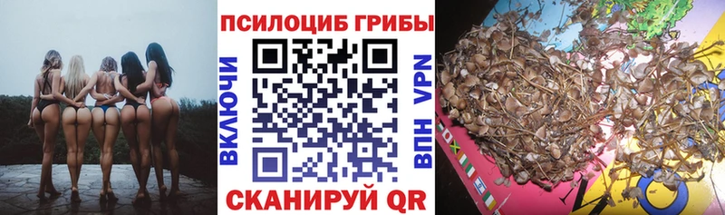 mega ТОР Елизово Псилоцибиновые грибы GOLDEN TEACHER